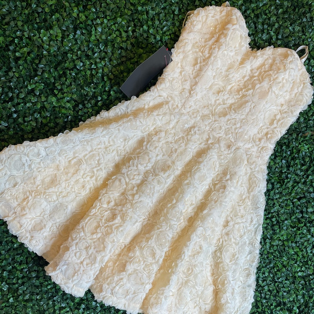 Bebe Rose Petal Dress